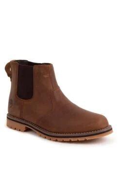 Men's Timberland Larchmont Chelsea Boot