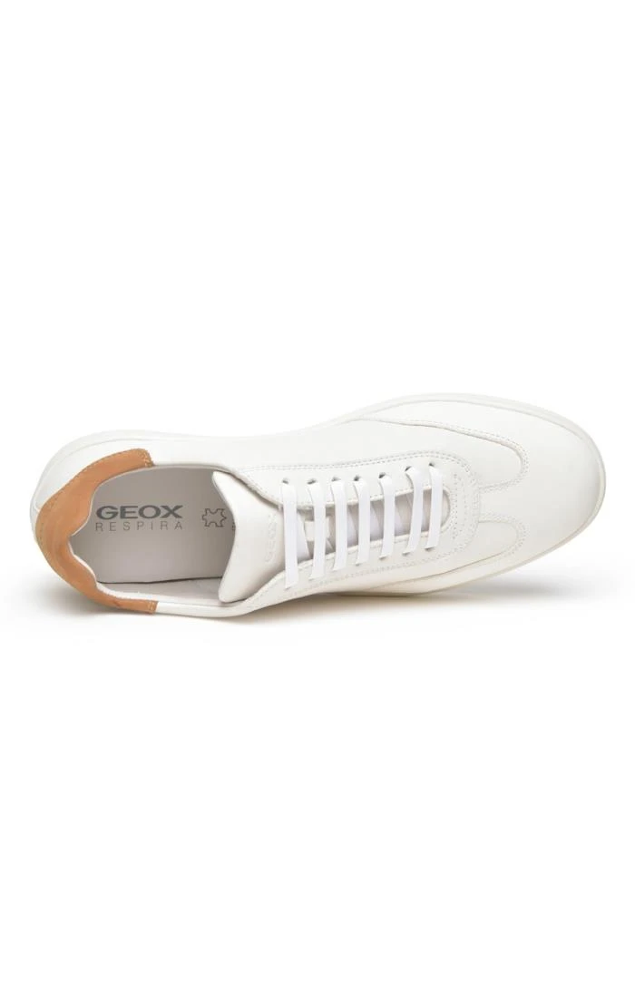 Men’s Geox Leather Trainers 4 Men’s Geox Leather Trainers - Image 2