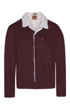 Men's Levi's Sherpa Trucker Jean Jacket